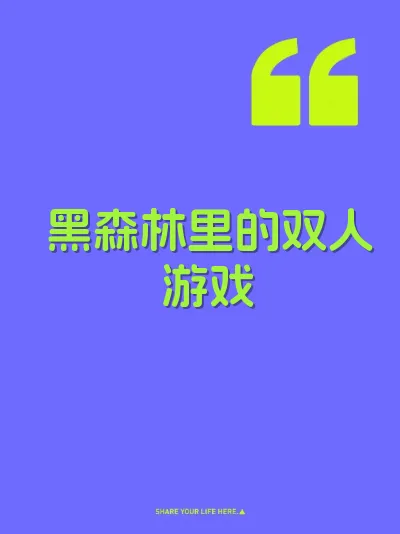 黑森林里的双人游戏 封面