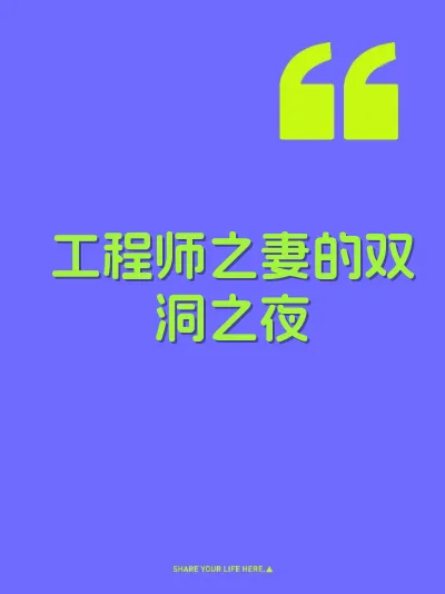 工程师之妻的双洞之夜 封面