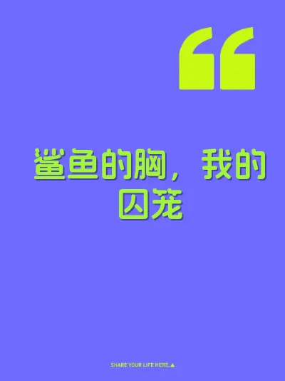 鲨鱼的胸，我的囚笼 封面