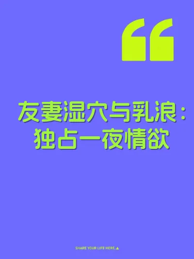友妻湿穴与乳浪：独占一夜情欲 封面