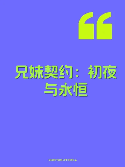 兄妹契约：初夜与永恒 封面