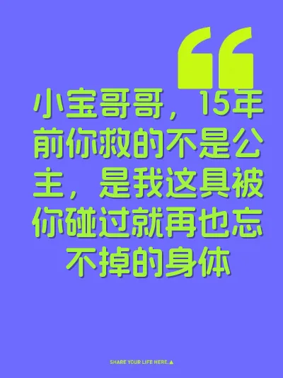 小宝哥哥，15年前你救的不是公主，是我这具被你碰过就再也忘不掉的身体 封面