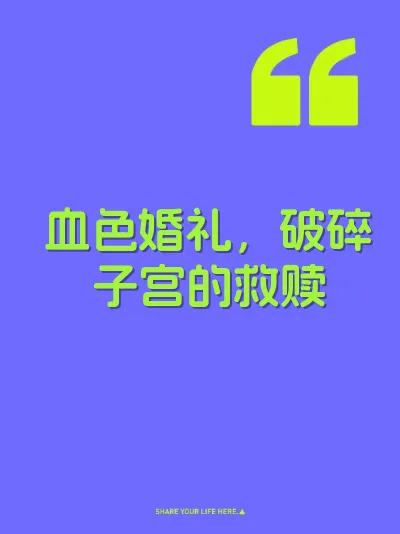 血色婚礼，破碎子宫的救赎 封面