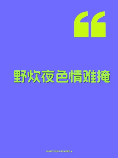 野炊夜色情难掩