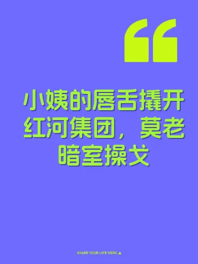 小姨的唇舌撬开红河集团，莫老暗室操戈 封面