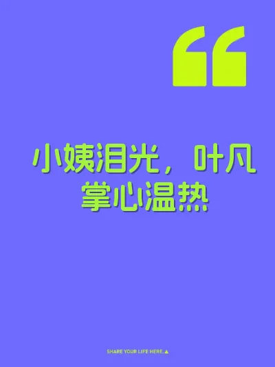 小姨泪光，叶凡掌心温热 封面