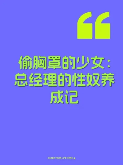 偷胸罩的少女：总经理的性奴养成记 封面
