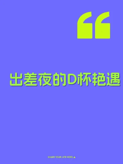 出差夜的D杯艳遇 封面