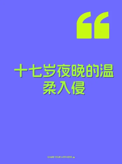 十七岁夜晚的温柔入侵 封面