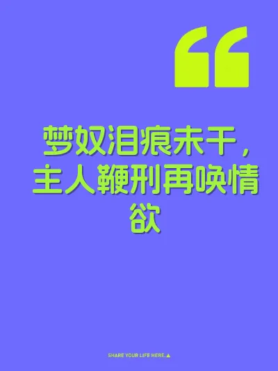 梦奴泪痕未干，主人鞭刑再唤情欲 封面