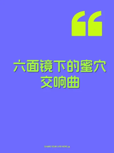 六面镜下的蜜穴交响曲 封面