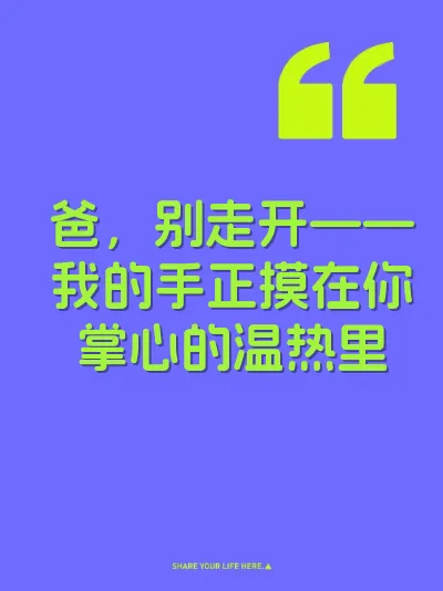 爸，别走开——我的手正摸在你掌心的温热里 封面