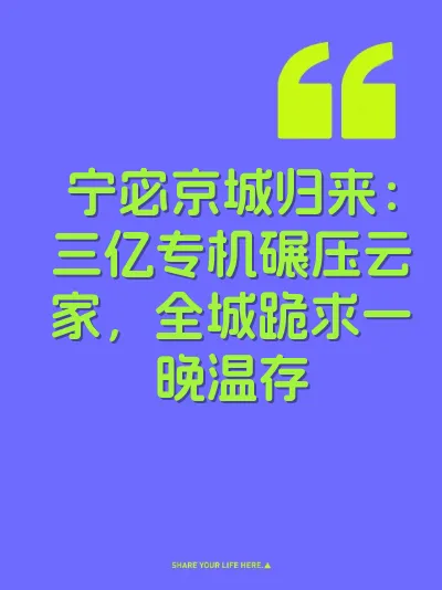 宁宓京城归来：三亿专机碾压云家，全城跪求一晚温存 封面