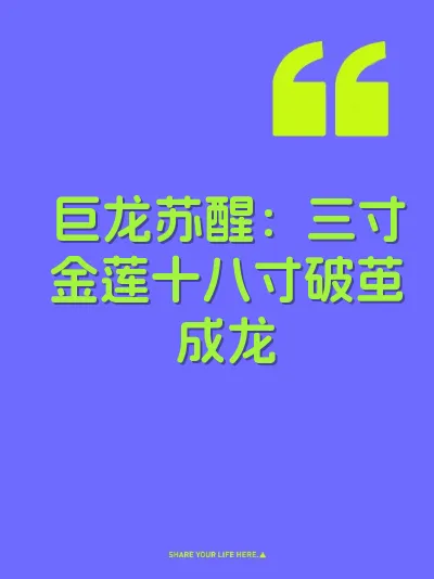巨龙苏醒：三寸金莲十八寸破茧成龙 封面