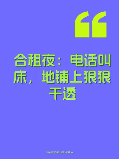 合租夜：电话叫床，地铺上狠狠干透 封面