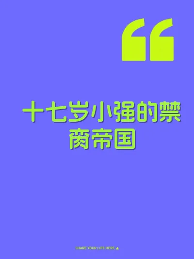 十七岁小强的禁脔帝国 封面