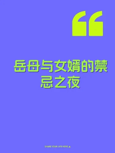 岳母与女婿的禁忌之夜 封面