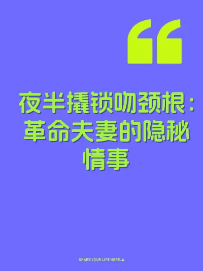夜半撬锁吻颈根：革命夫妻的隐秘情事 封面