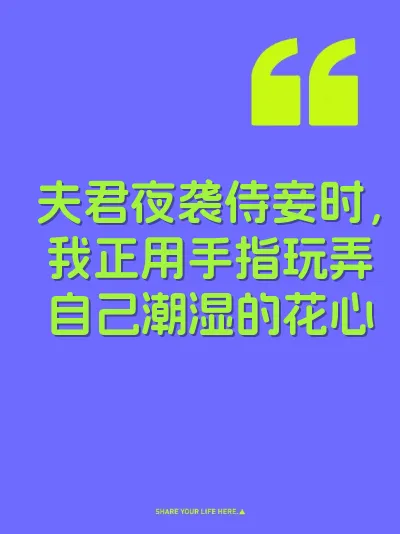 夫君夜袭侍妾时，我正用手指玩弄自己潮湿的花心 封面