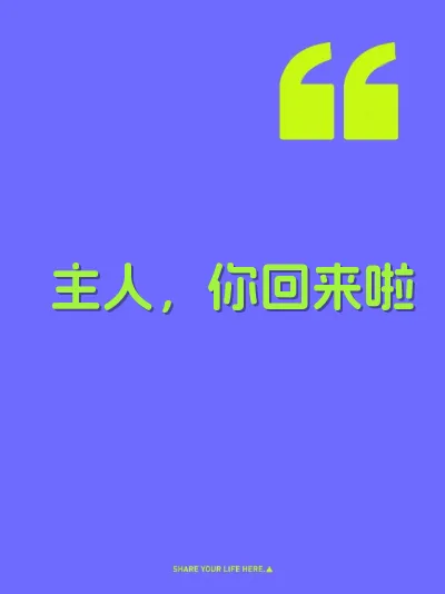 主人，你回来啦 封面