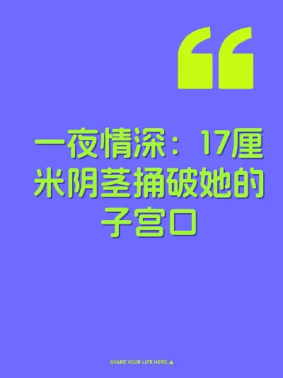 一夜情深：17厘米阴茎捅破她的子宫口 封面