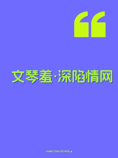 文琴羞·深陷情网 封面