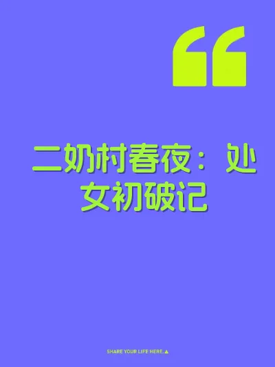 二奶村春夜：处女初破记 封面