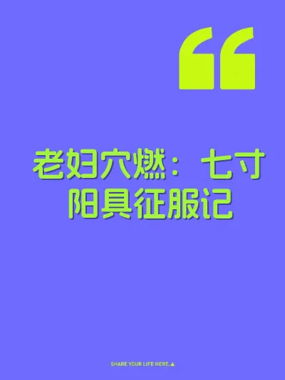 老妇穴燃：七寸阳具征服记 封面