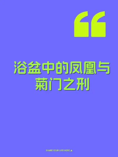 浴盆中的凤凰与菊门之刑 封面