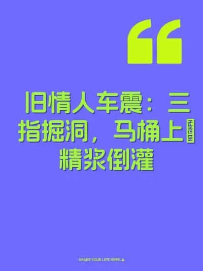 旧情人车震：三指掘洞，马桶上肏精浆倒灌 封面
