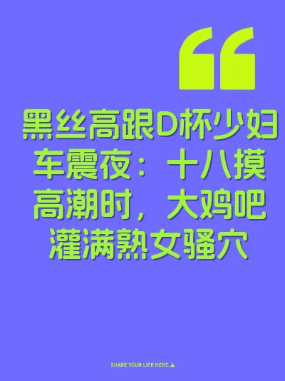 黑丝高跟D杯少妇车震夜：十八摸高潮时，大鸡吧灌满熟女骚穴 封面