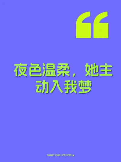 夜色温柔，她主动入我梦 封面