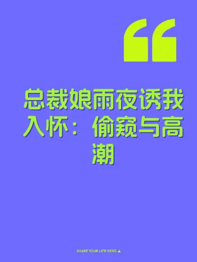 总裁娘雨夜诱我入怀：偷窥与高潮 封面