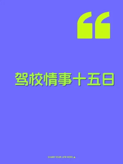 驾校情事十五日 封面