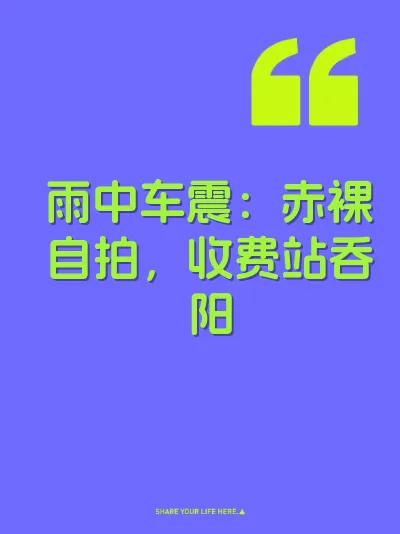 雨中车震：赤裸自拍，收费站吞阳 封面