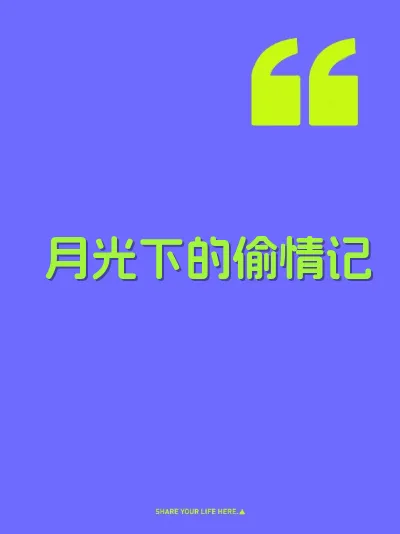月光下的偷情记 封面