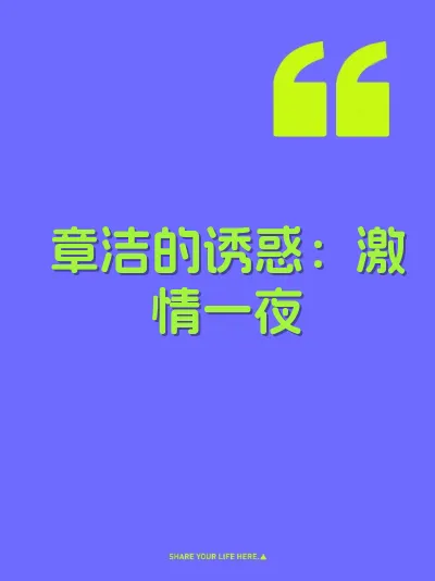 章洁的诱惑：激情一夜 封面