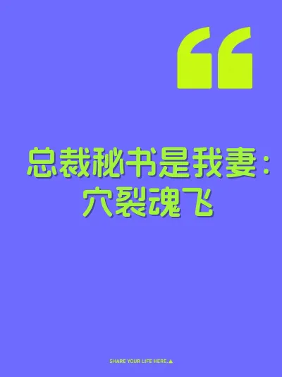 总裁秘书是我妻：穴裂魂飞 封面