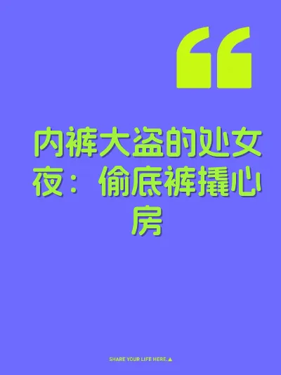 内裤大盗的处女夜：偷底裤撬心房 封面
