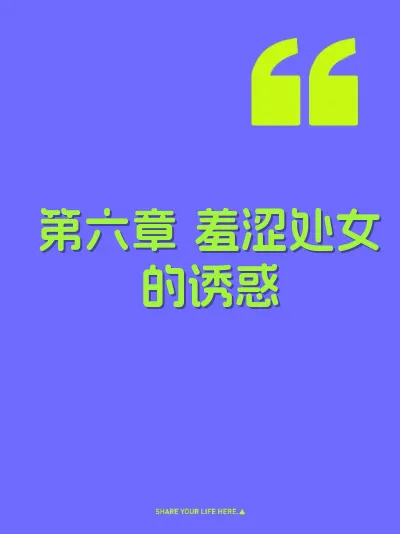 第六章 羞涩处女的诱惑 封面