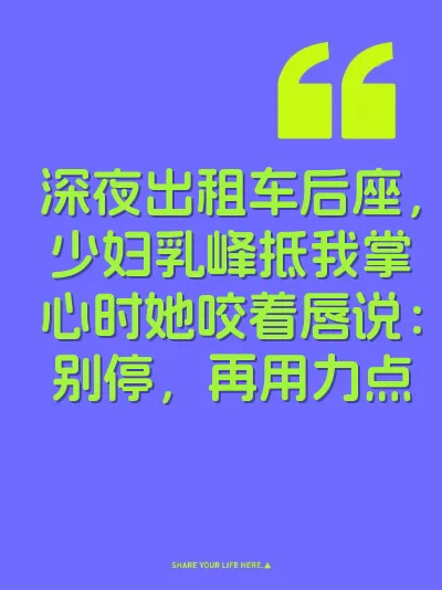 深夜出租车后座，少妇乳峰抵我掌心时她咬着唇说：别停，再用力点 封面