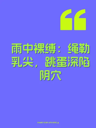 雨中裸缚：绳勒乳尖，跳蛋深陷阴穴 封面