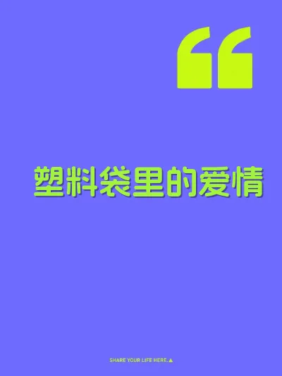 塑料袋里的爱情 封面