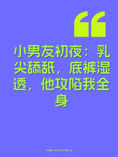小男友初夜：乳尖舔舐，底裤湿透，他攻陷我全身 封面