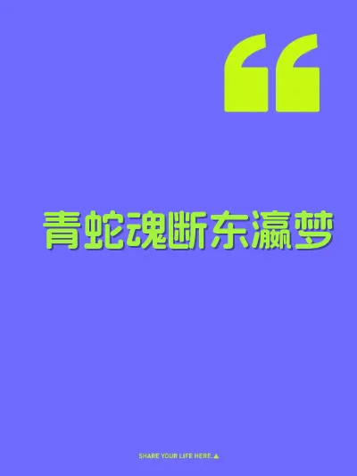 青蛇魂断东瀛梦 封面