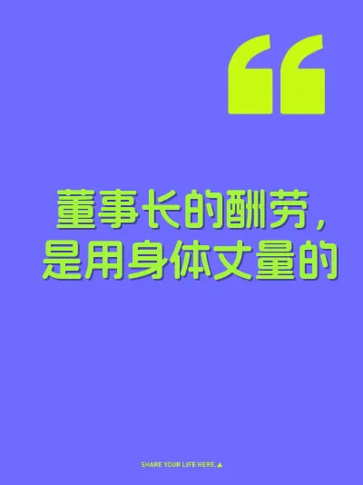 董事长的酬劳，是用身体丈量的 封面