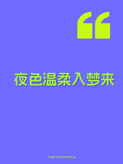 夜色温柔入梦来 封面