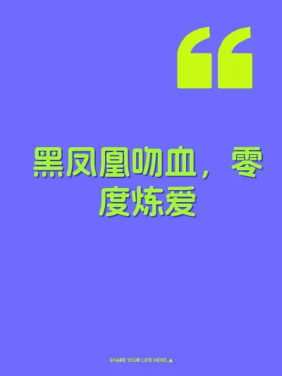 黑凤凰吻血，零度炼爱 封面