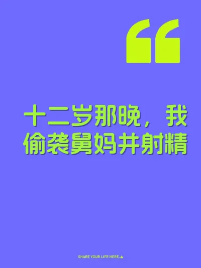 十二岁那晚，我偷袭舅妈并射精 封面