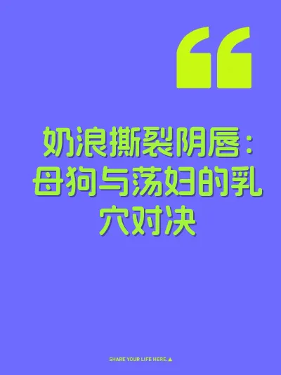 奶浪撕裂阴唇：母狗与荡妇的乳穴对决 封面